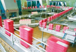 Weighing for Food and Beverage Packaging-Image