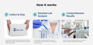 Why Choose DOD Labs?-Image