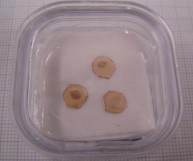 Aluminum Nitride (AlN) Crystals-Image