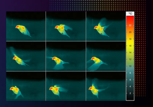 High-Speed Ther­mo­graphy-Image