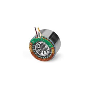 Frameless Brushless DC (BLDC) Motor -Image
