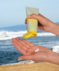 Mixing Equipment for Sunscreen and Sun Tan Lotions-Image
