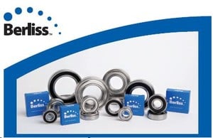 Electric Motor Quality Bearings-Image