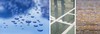 Specialty & Industrial Coatings-Image