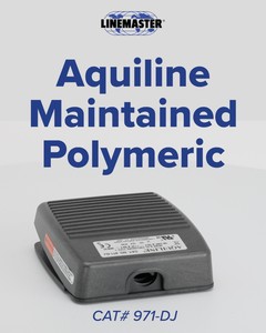 Aquiline Maintained - Polymeric-Image