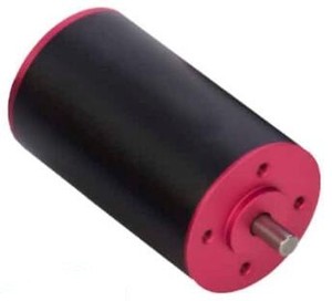 12V slotless motor with drive built-in AM-BD3660-Image