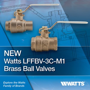 LFFBV-3C-M1 Watts 1/4 Inch Full Port Ball Valve 