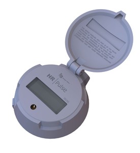 HR-LCD Pulse Scaled Register-Image