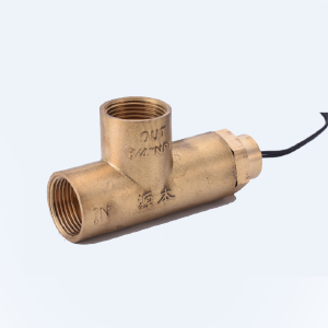 Flow Switches -- FS2021-Image