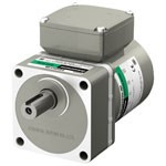 High Performance Induction AC Gear Motors-Image