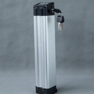 E-bike Battery 24V / 36V / 48V 6-20Ah-Image