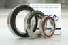 Electric Motor Quality (EMQ) Bearings-Image
