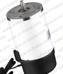 Persion 76mm DC Micro Motor-Image