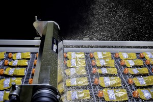 Eliminate oversaturated pouches-Image