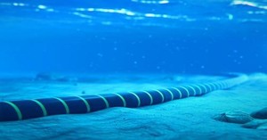 Monel Alloys for Down-Hole and Marine Applications-Image