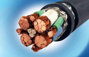 Philaflex™ Electrical Vehicle Charging Cable-Image