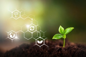 Innovation Champion in Sustainability -Image