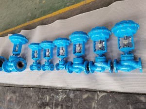 Extreme-Condition Balanced Cage Control Valve-Image