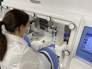 Cell Culture and Life Science Research-Image