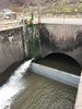 Vertical Centrifugal Water Pumps from Gator.-Image