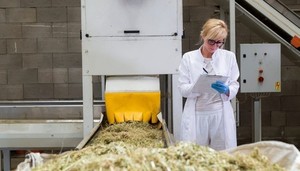 What is the Best Equipment to Process Hemp?-Image