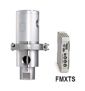 FAST101/MXTS-Image