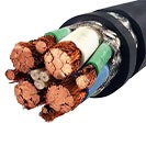 Philatron Custom High Amp Cables -Image