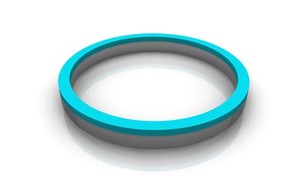 Custom Back-Up Rings-Image
