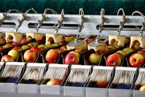 Article: Imaging Inside Out: SWIR for Apples-Image