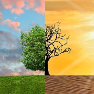 Combined Climatics Testing -Image