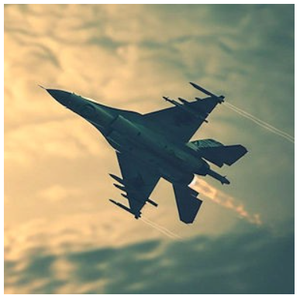 Expertise in Military Testing-Image