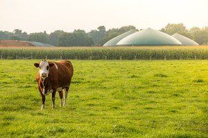 Solutions for Renewable Natural Gas-Image