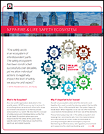 Elected officials and their role in the Ecosystem-Image