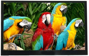 7.0" TFT Display - Superior Viewing-Image