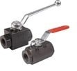 Carbon Steel Valves for Rugged Conditions-Image