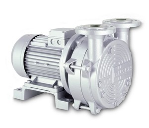 Dolphin Liquid Ring Vacuum Pump-Image