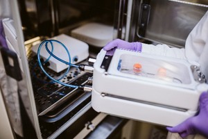 Luxury Accommodation for Cells-Image