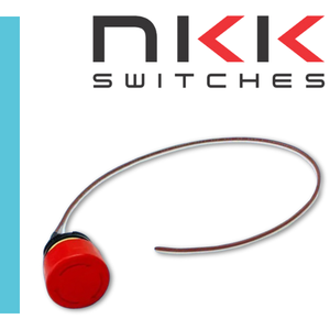 FF01 Switches with Wire Leads-Image