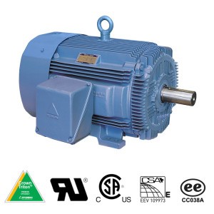Rigid Base Motor-Image