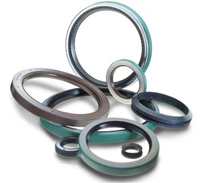 Huge Selection of Seals & O-Rings-Image