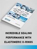 Incredible Sealing with Elastomeric O-Rings-Image