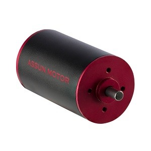 ASSUN Brushless DC Motor-Image