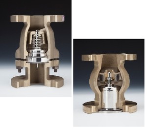 Non-Slam Check Valves for Harsh Environments-Image