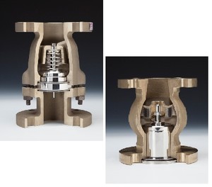 DFT Non-Slam Check Valves for Harsh Environments-Image