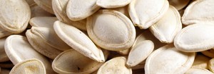 How Do You Convey Seeds Without Breakage-Image