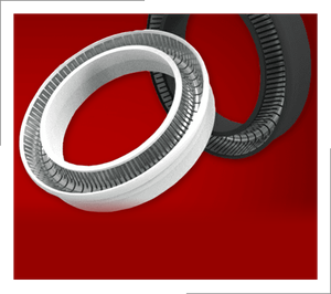 Spring Energized Seals -Image