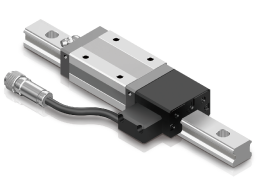 LM Guide with Linear Encoder-Image
