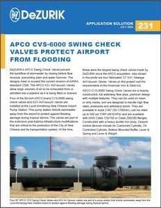 APCO CVS-6000 Swing Check Valves Protect Airport-Image