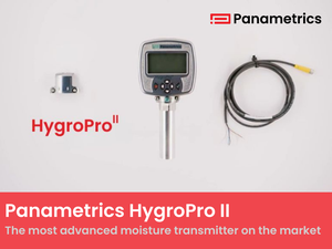 Panametrics HygroPro II-Image