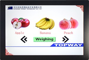 12.1" TFT LCD Display with capacitive touch panel-Image
